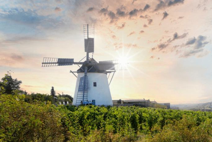 Eine traditionelle weiße Windmühle steht inmitten üppigen Grüns in einer ruhigen ländlichen Umgebung. Die Sonne wirft warme Strahlen durch den Himmel und schafft eine idyllische Sonnenuntergangskulisse. Sanfte Hügel und verstreute Gebäude vervollständigen die friedliche Landschaft.